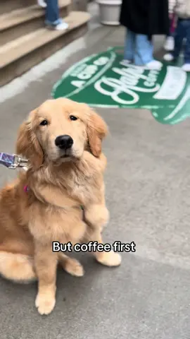Sunday coffee with eliose ☕️🧊💕 @Ralph's Coffee #goldenretriever #goldenretrieverlife #dogsoftiktok #dogsofnyc #ralphscoffee 