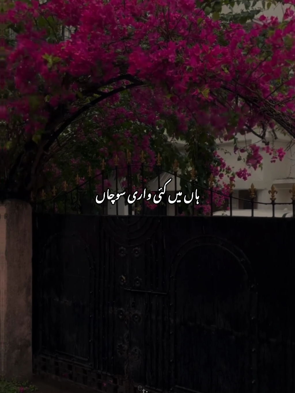 mien kai wari sochan❤️‍🩹🥀 #aesthetic #viral #viralaccount #grow #growmyaccount #status #trending #standwithkashmir #unfrezzmyaccount #foryoupage 