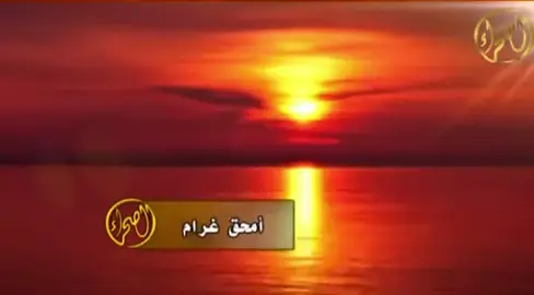 #مجرد_ذووقツ #ارشيف #الصحراء #ارشيف_الذكريات #ارشيف_الصحراء #قديم #شيلات #حمود_الشاطري #2011 #fyp #foryou #fyppppppppppppppppppppppppp 
