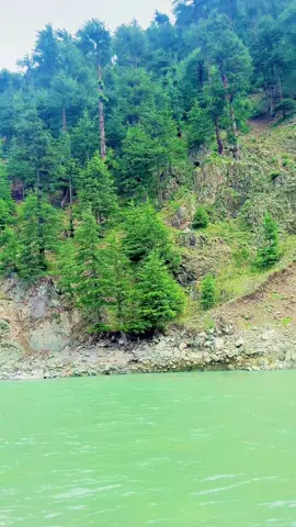 Nature kalam #sheikhbrothers❤ #onemillionaudition #viralvideo #kalam 