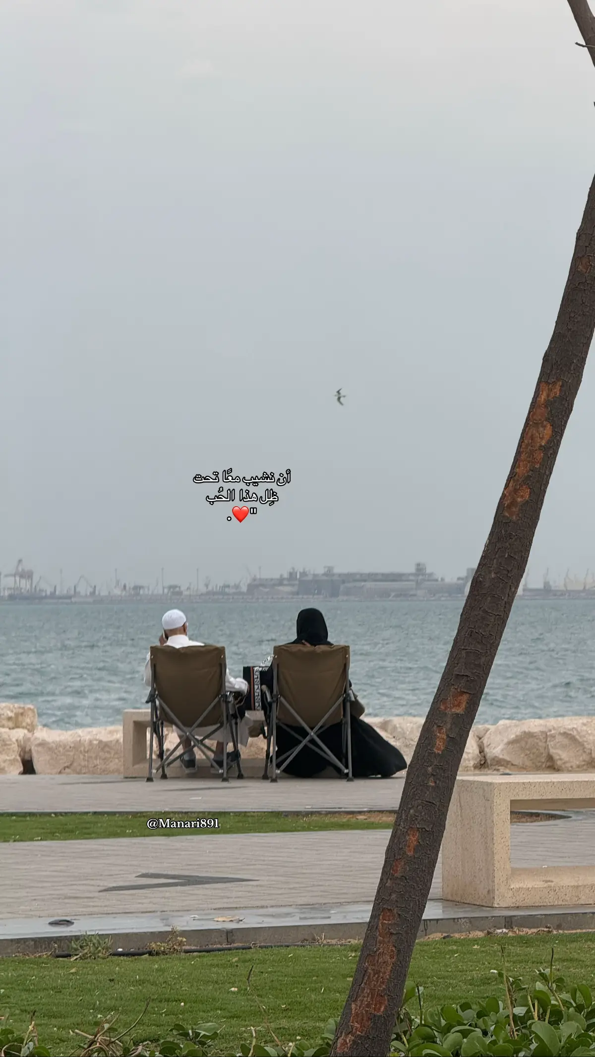 #اكسبلورexplore #fypシ #foryoupage #عشوائيات #4u #اقتباسات #Love 