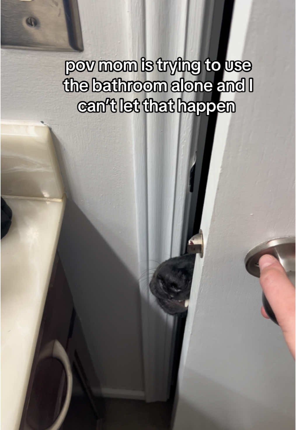 (Disclaimer its just light taps on his nose with the door)#petlife #dog #dogs #dogsoftiktok #doglife #funnydog #boydog 