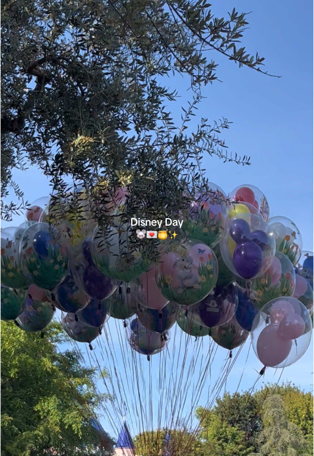 Disney day 🐭💌🍯✨ #Vlog #disneyland #california #disneyvlog #disneylandvlog #dayinmylife #fyp #paratii 