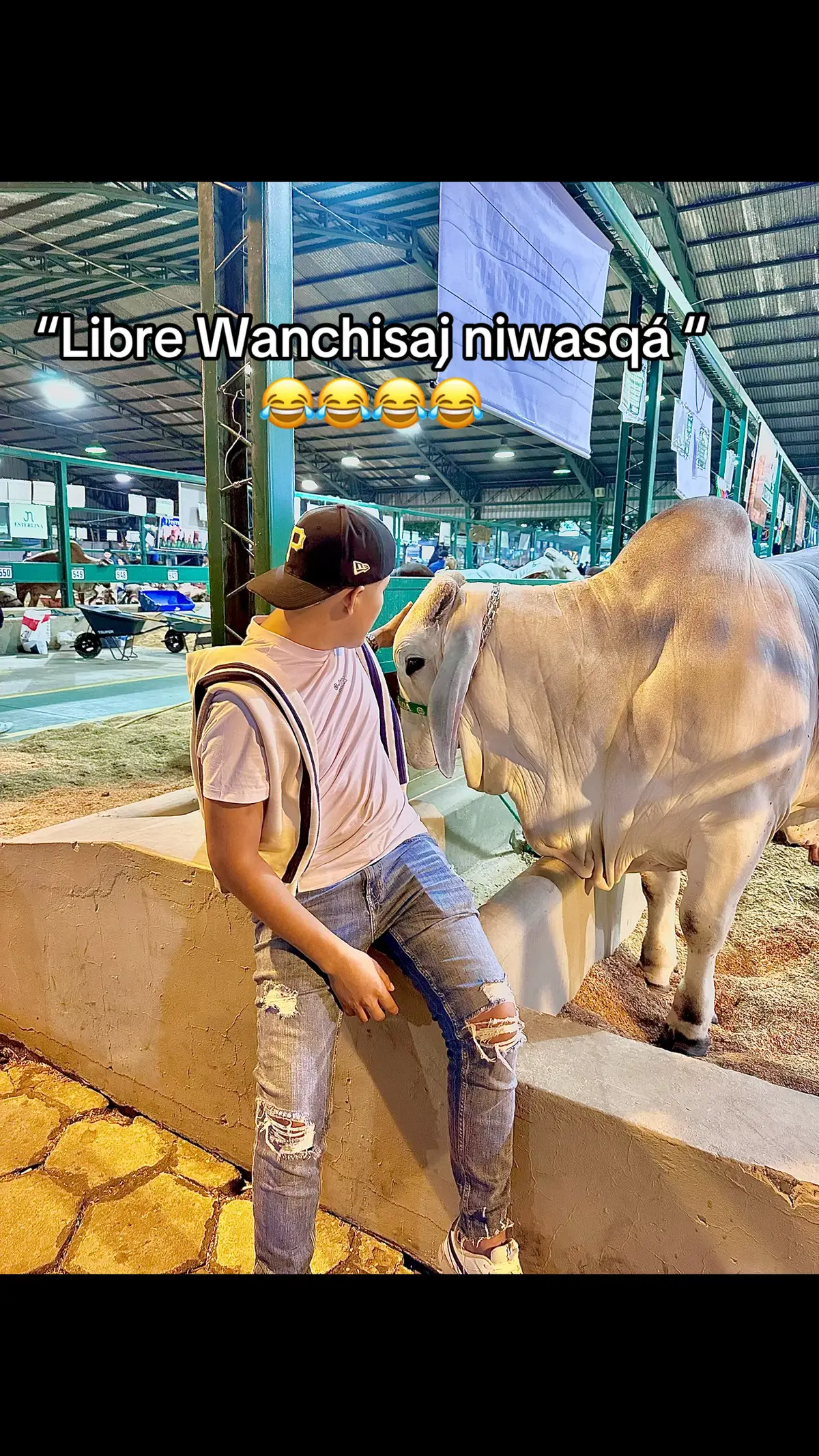 Aquí somos ingenieros, búsquese un militar suegrita 😂🤣 #paratiiiiiiiiiiiiiiiiiiiiiiiiiiiiiii 