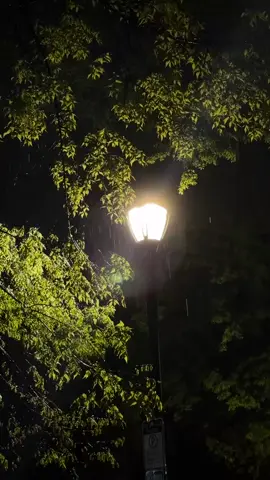 Rainy nights & city lights — just listen to the silence Хештеги (скопируй вместе): #rainynight #aestheticvibes #nightvibes #streetlight #moodyvideo #calmnature #raindrops #peacefulnight #nightwalk #cozyvibes #rainlover #nightaesthetic #urbanmood #nightinspiration #foryou #foryoupage #fyp #DieWithASmile #LadyGaga #BrunoMars #NightVibes #RainyMood #AestheticVideo #FYP #ViralSong #tiktokmusic #EmotionalVibes 