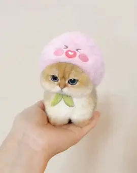 #cute #cat #tik #foryou #fyp #tiktok