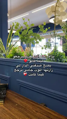 😢💔 #algeria🇩🇿 #comedia #capcut #fyp #tutorial #tiktokuni #algeria #algeria🇩🇿 