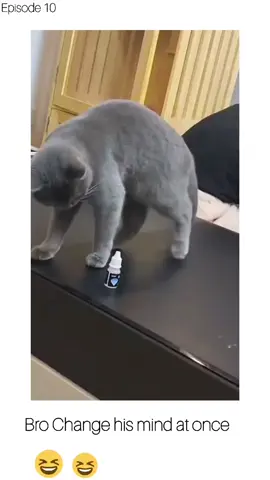 Change His Device at once #funnyvideos #fy #puppiesoftiktok #puppie #pet #pets #cat #fypシ #catsoftiktok #PetsOfTikTok #funnytiktok #funnycat #funny #fy #funnyvideos #puppy 