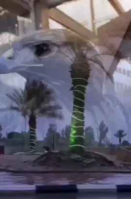 شيلات ##هشتاقاتي_الترند_المشهور 