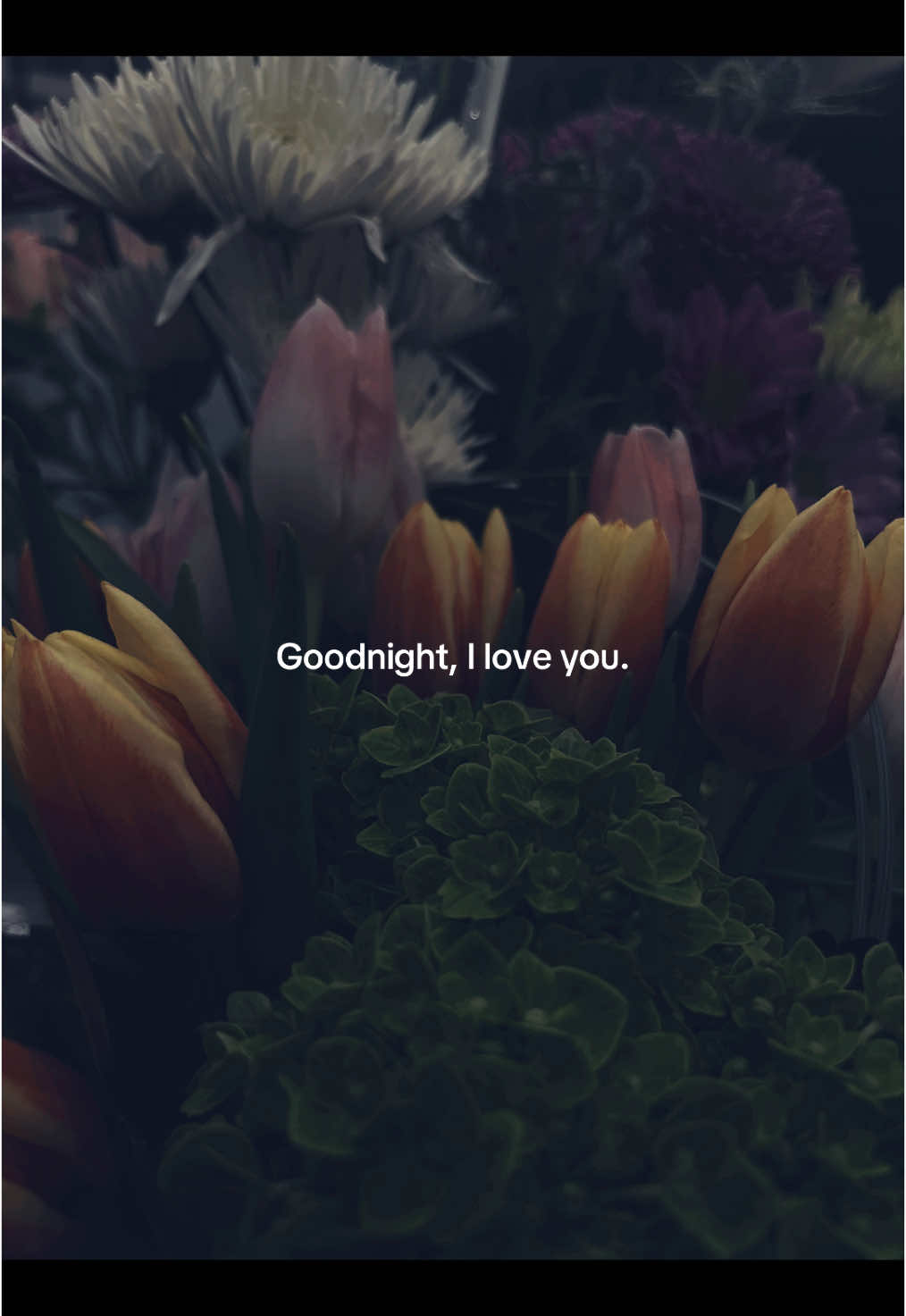 Goodnight, sleep well. #loveyou #sleep #xybca #abcxyz #goviral 