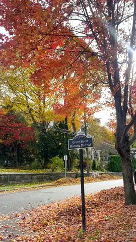 📍Tarrytown, NY 🇺🇸🧡🍂 #fyp #efnewyork #tarrytown #autumn #foryoupage #traveldestinations #taylorsversion 