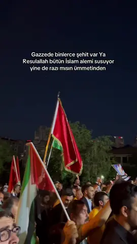 FREE PALESTİNE 🇵🇸 #islam #müslim #ehlisünnetvelcemaat #gazze #freepalestine #islamic #palestineفلسطين #explore #kesfet #trending #islamic_video #özgürfilistin #kesfetolmaduasıyla🧕🤲 #viral #fypシ゚ 