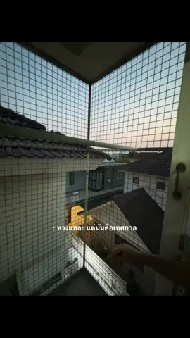 #ฟีดดดシ #เธรด #สตอรี่ความรู้สึก #fyp 