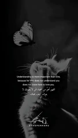 الفهمَ أهمُّ من المحبة، فمَن لا يفهمك لا يعرف كيف يحبك. . Understanding is more important than love, because he who does not understand you does not know how to love you.  . . #حب #فهم #اسود #Love #understand #black 