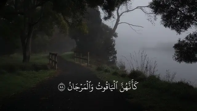 [كَأَنَّهُنَّ ٱلۡيَاقُوتُ وَٱلۡمَرۡجَانُ ] للقارئ | #ياسر_الدوسري #الشيخ_ياسر_الدوسري #سورة_الرحمن #quran #قرآن_كريم 