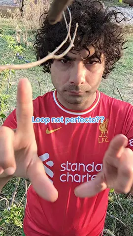 another sh*t loop 