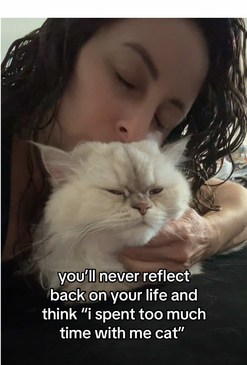 it’s never enough time #catsoftiktok #fyp #cat #trending #cattok 