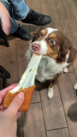 First time trying Chili’s Mozarella sticks 🤪🙈 The ultimate cheese pull #dogs #chilis #chilistripledipper #cheesepull #cheesetok #tripledipper @Chili’s Grill & Bar 