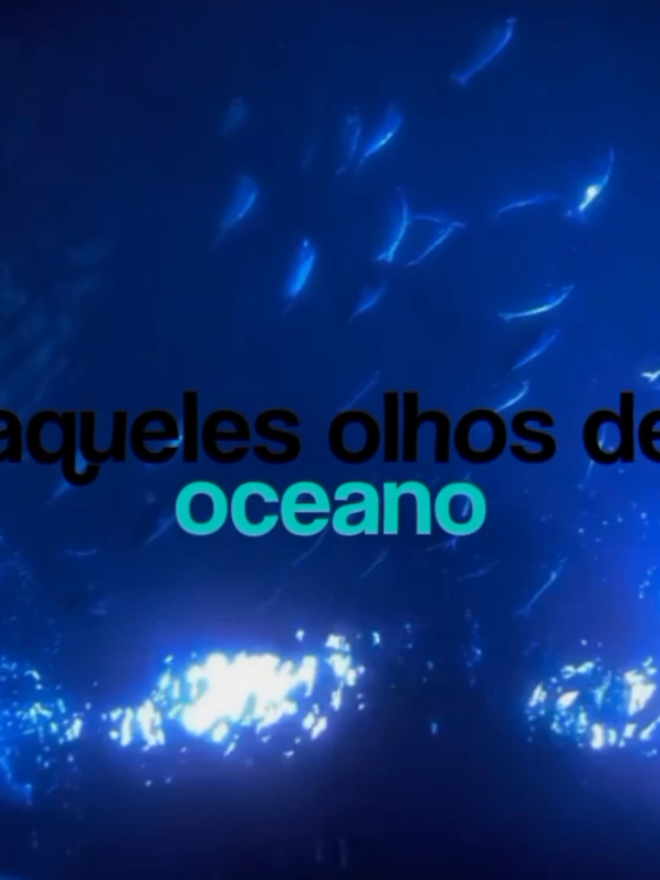 “Ocean Eyes” — quando o amor tem cor de abismo 