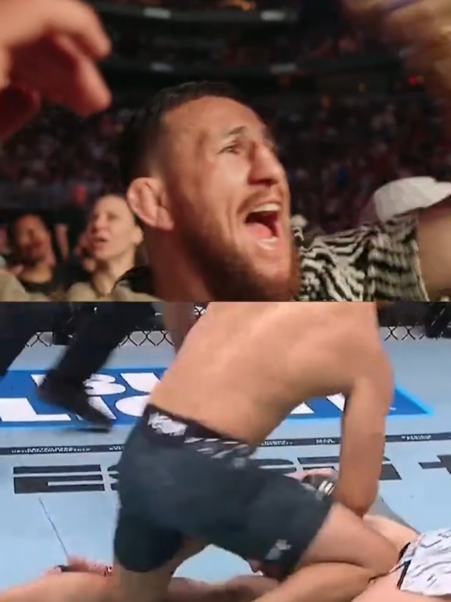 Perfect timing from Merab, what a KO! #UFC #ufc314 #ko 