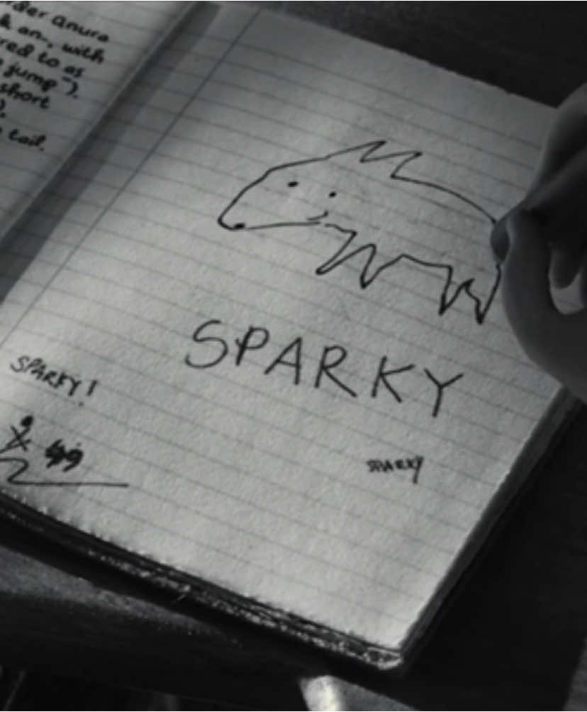 Frankenweenie ♡ #frankenweennie #frankenweenieedit 