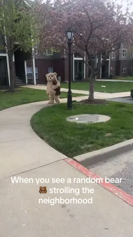 #bears #bearsoftiktok #ted #teddybear #funnyvideos random bear strolling the neighborhood #viral #viralvideo #viraltiktok #thunderbuddy #markwahlberg #snuggles #snl #funnyvideos #yn #bbl #mickeymouse #elmo #winniethepooh #missouri #cheifs #patrickmahomes #traviskelce #taylorswift #usa #japan #australia #italy #africa #lionking #disney #barstoolsports 
