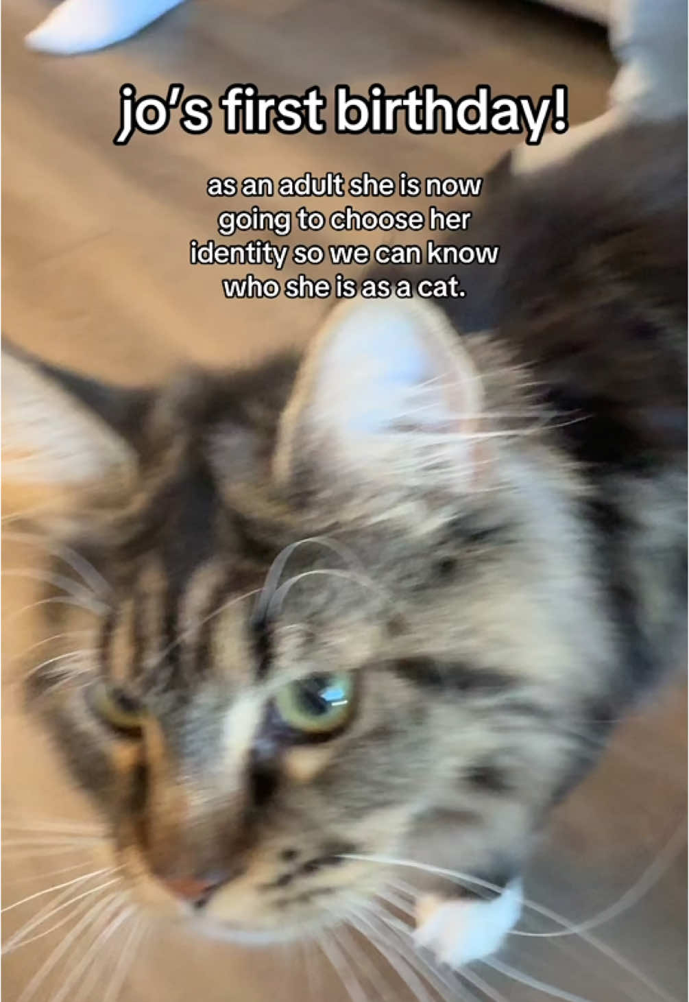 josie’s identify reveal!!