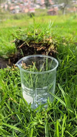 Did you know organic matter isn’t the same in all soil layers? 🌱💧 Check this simple hydrogen peroxide test—the top layer is ALIVE! #SoilScience #OrganicMatter #Gardening #Agriculture #SoilHealth #Microbiology #GardenHacks 