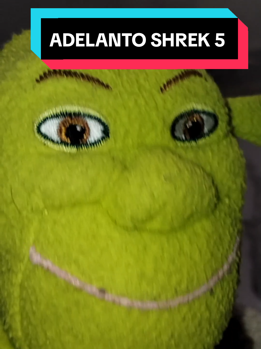 #paratii #paratiiiiiiiiiiiiiiiiiiiiiiiiiiiiiii #pinchetiktokponmeenparati😘 #fyp #fypシ゚ #shrek #comedia 