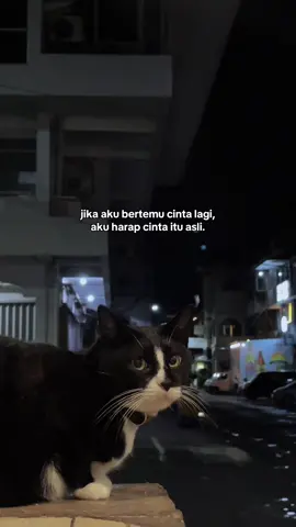 dan aku harap itu kamu🥹 #katakata  #storytime  #galaubrutal 