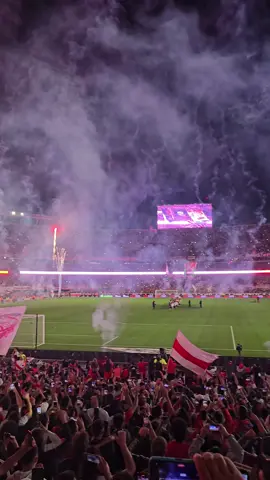 #riverplate #masmonumental #river #hinchadasargentinas #lbdt14 #carp 