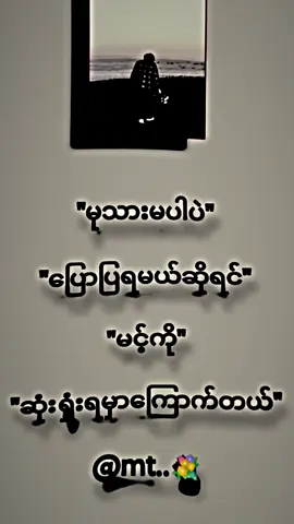 မုသားမပါပါဘူး#ကောင်မလေးကိုmtခေါ်ကွာ #feeledit🥀 #နည်းနည်းဖီလ်းမယ် #alightmotion_edit #alightmotion #myanmartiktok🇲🇲🇲🇲 #fypပေါ်ရောက်စမ်း😒👊🏻မရောက်လည်းနေ🥴 #fypပေါ်ရောက်စမ်း😒 #fyppppppppppppppppppppppp #fyp #fypシ゚ #fouryou #viewတွေရှယ်ကျ😞✋ #views 