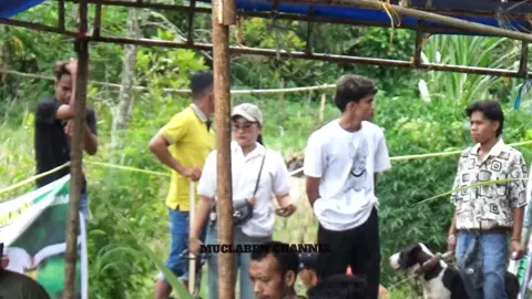Cidukan 32 #bujanggadihparenten #porbbisangka #murahnikmatlezat #porbbimuarokalaban #porbbibatubasa #porbbisolok #porbbiindo #porbbisumbar #porbbimarenten #porbbi #porbbiindonesia #porbbi_storysumbar #youtuberporbbi #porbbisumbarriau #gadihparenten #porbbipayakumbuh 