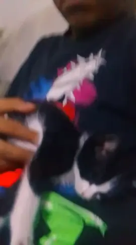 Es la entidad más poderosa #perrostiktokers #cat #mascotastiktok #mascotas #gatostiktok #cat #paratiiiiiiiiiiiiiiiiiiiiiiiiiiiiiii #friends #fyppppppppppppppppppppppp #fypシ゚ #fyp #paratiii 