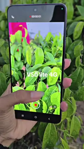 hasil kamera v50 lite #vivov50lite4g  #Wajib #V50LiteSyle #vivoV50Lite #LebihTipisLebihKuat #Lampung  @vivo lampung @gadgetcampus  @vivocampus_indonesia 
