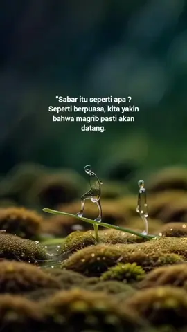 #fyp #fypage 