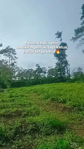 #CapCut #rxking #fyp #tiktok #rxkingclub 