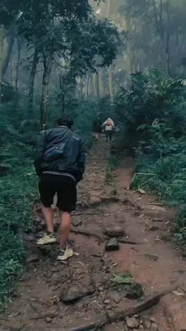#gunungindonesia 