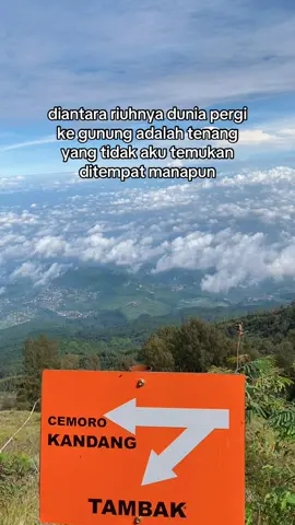 asal tenang #gunungindonesia #lawumountain #lawuviacemorokandang #lawu3265mdpl #pendakifomo #fyp #fyppppppppppppppppppppppp 