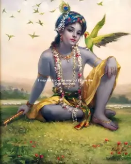 The Divine.#hinduism#jaishreeram#omnamahshivayॐ#sanatandharma#sanatani#jaishrikrishna#harharmahadevॐ 