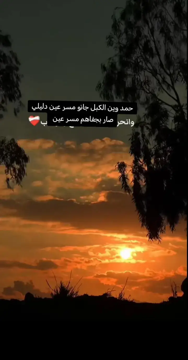 #شعراء_وذواقين_الشعر_الشعبي #عتاب #الشاعر_رمضان_علي_سليمان #مشاهير_تيك_توك #شعب_الصيني_ماله_حل😂 #شعراء_وذواقين_الشعر_الشعبي🎸 