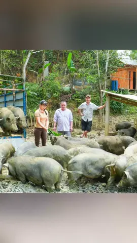 #mybushcraft #farmlife #harvesting #farm #garden #pig
