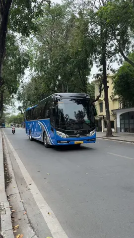 Bắt gặp chân dài Bluesky nhà Ban Mai đội anh Mẫn bé bỏng 😁 #xuhuong #xedulich #xehopdong #xekhach #thaco #xe45cho #bus #hyundaiuniverse #xeannam #thaco2025 #cruizer120 #fyp #bluesky #thacobluesky #hyundai 