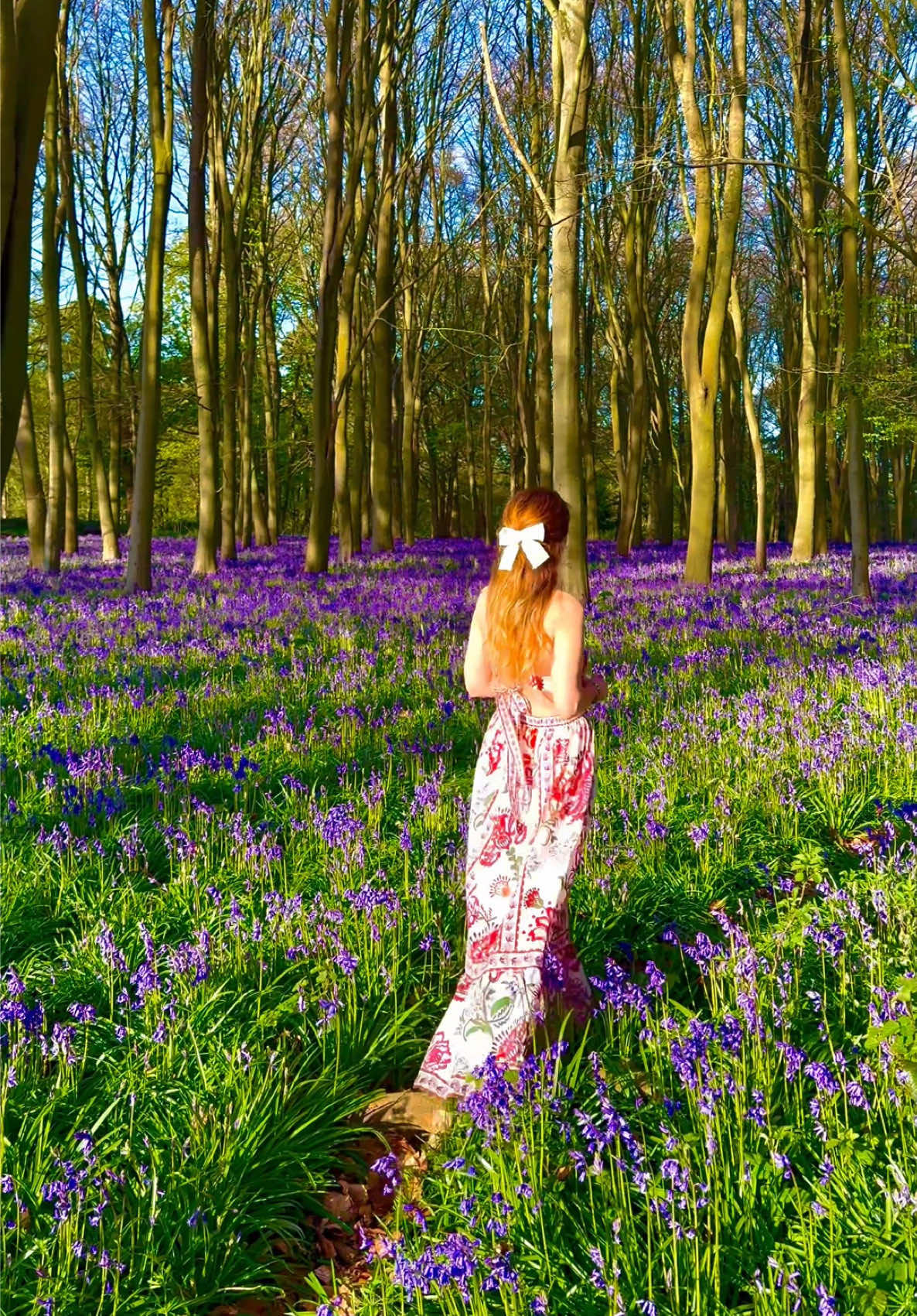 🌬️🪻🪻🪻 #fyp #magical #bluebells #forest #scenery 