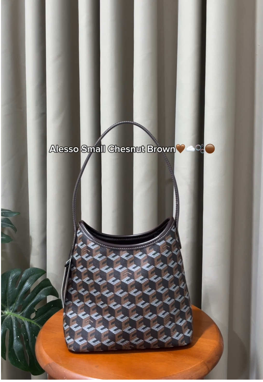 Chesnut brown, warna paling best seller dari awal launching bahkan sampe sekarang #jastiptrusted #jastipmalaysia #christyng #alesso 