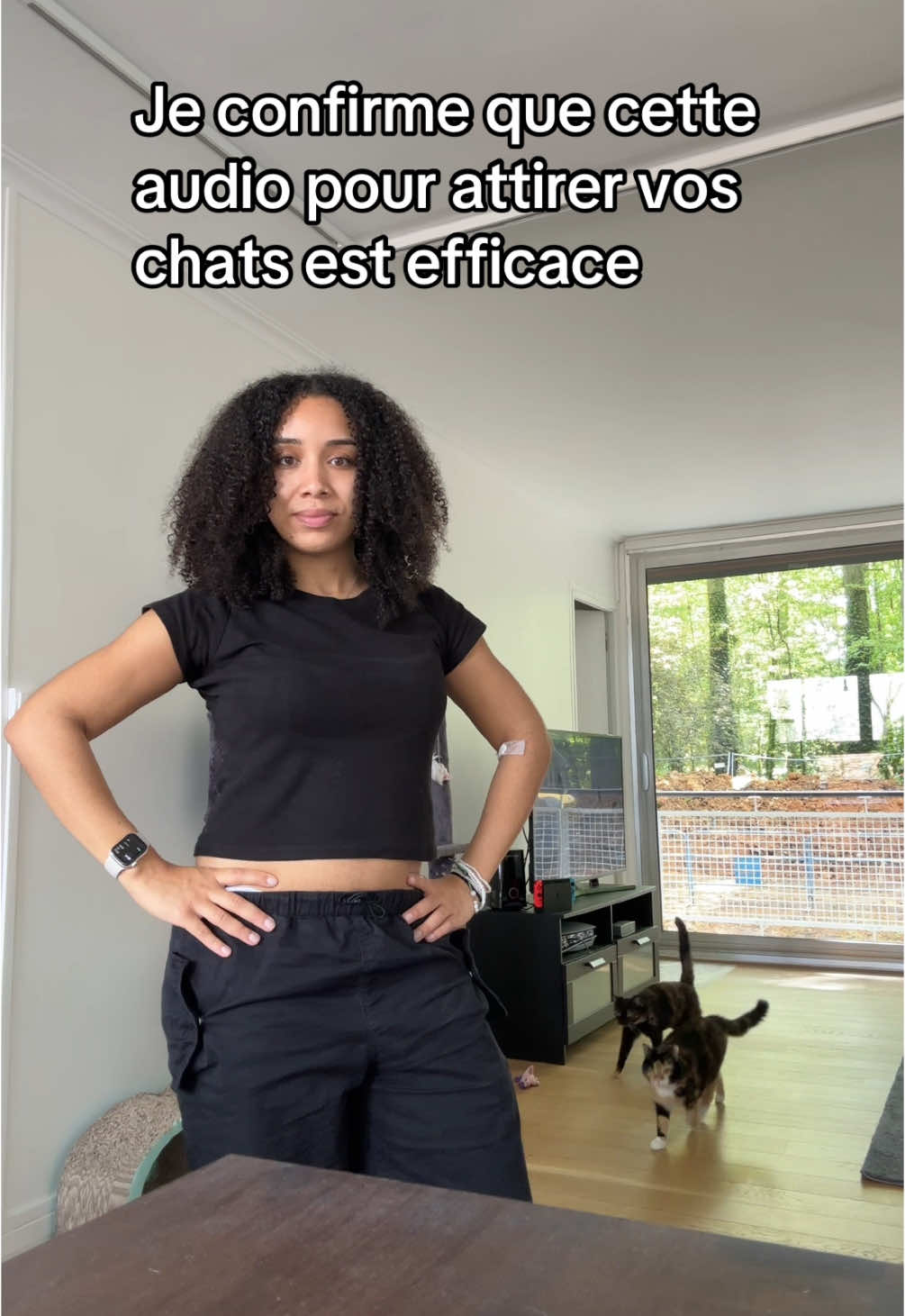 #chat #tendance_sur_tiktok 
