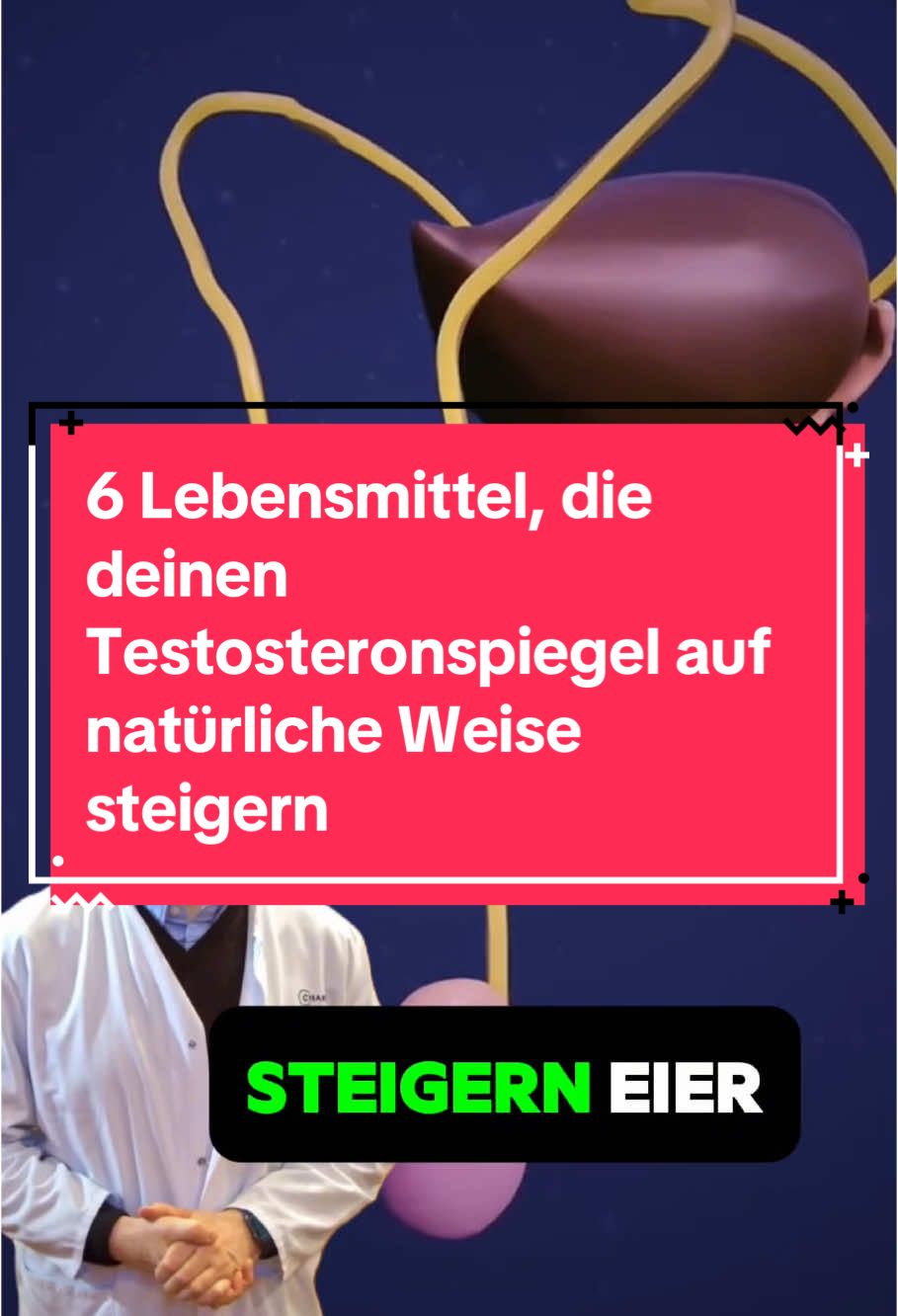 6 Lebensmittel, die deinen Testosteronspiegel auf natürliche Weise steigern  Shilajit Gummies fördern auch das Gedächtnis und sorgen für erholsamen Schlaf.  Ein Gummy pro Tag. Link in meiner Bio. #shilajitgummies #shilajit #shilajitdeutschland #testosteron #testosteronboost #männergesundheit #energiebooster #thebabeplayground #gummybattle #wgummies #alphagesund #germanytiktok🇩🇪  