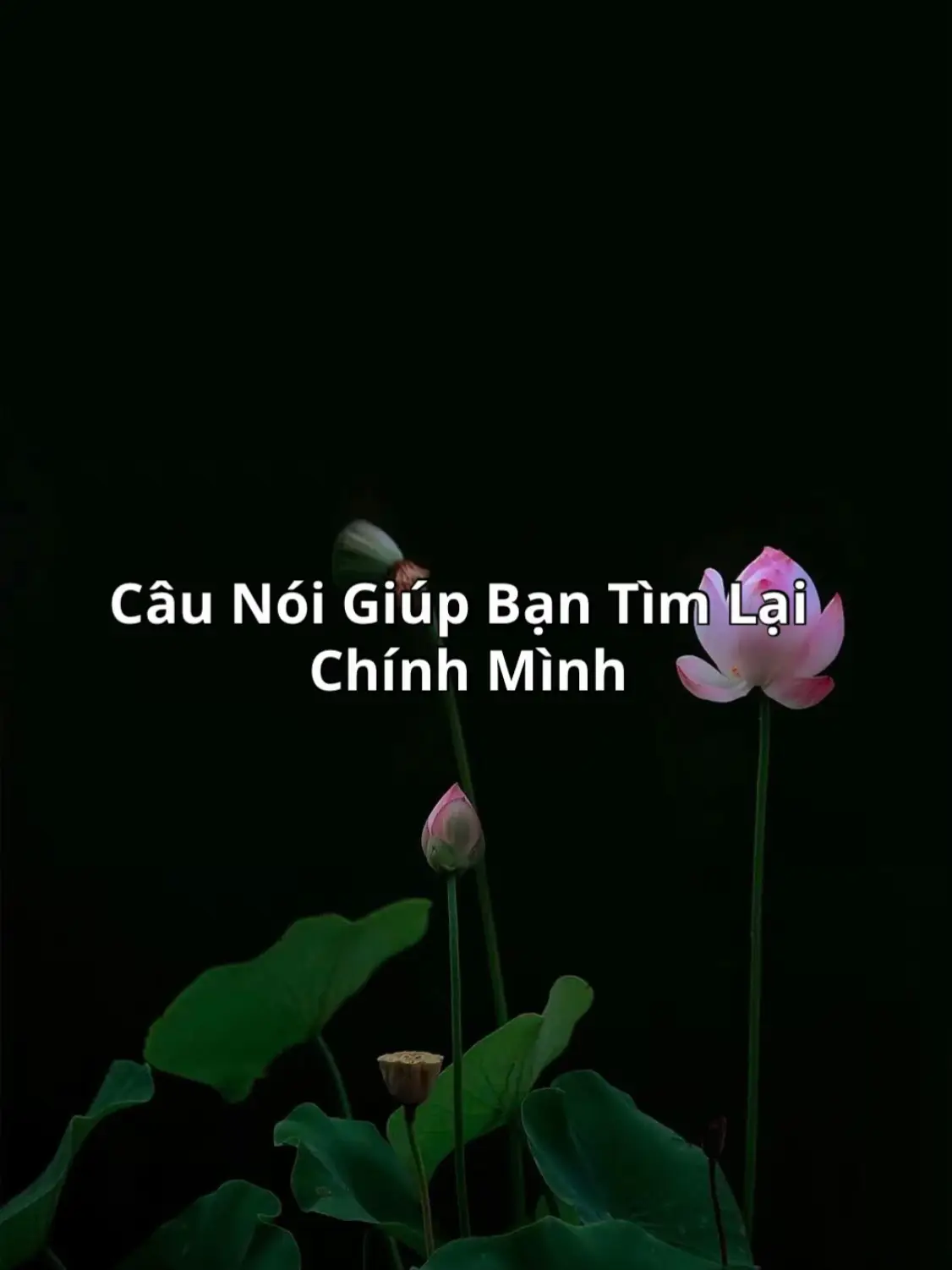 Mọi sự lựa chọn sẽ hình thành nên con người bạn. #vuong_doan22 #Foryou #Viral 