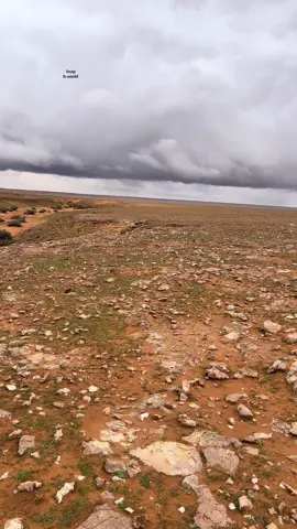 سجها وابعد عن الدار الوخيمه💔