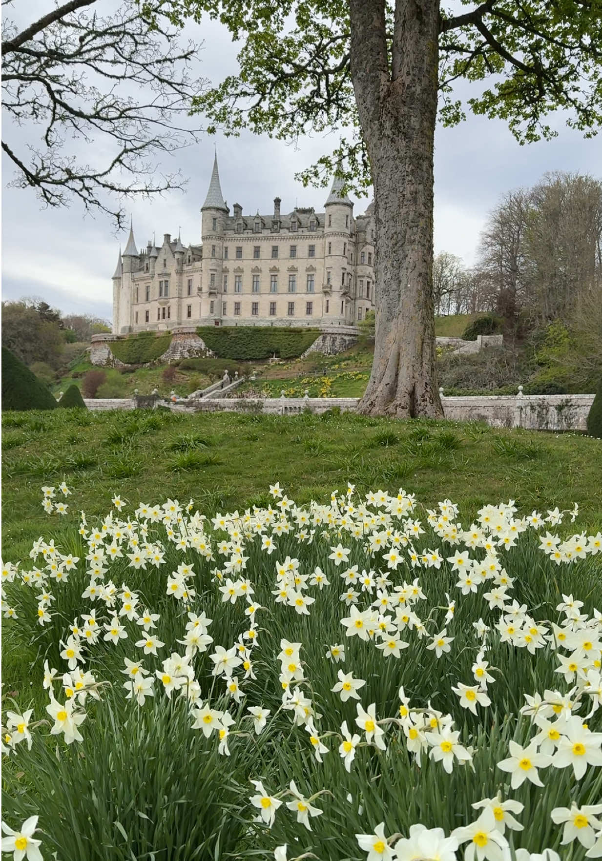 A Fairy Tale Castle🏰 #castle #fairytale #fairycore #princessaesthetic #royal #castlecore #royalaesthetic #luxury #dunrobincastle #disneyprincesses 